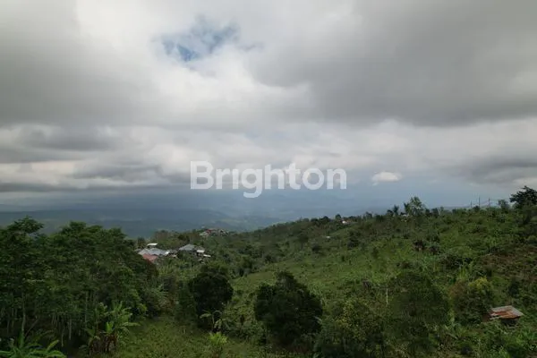 image DIJUAL TANAH DI TAMBLINGAN, SINGARAJA  (5)