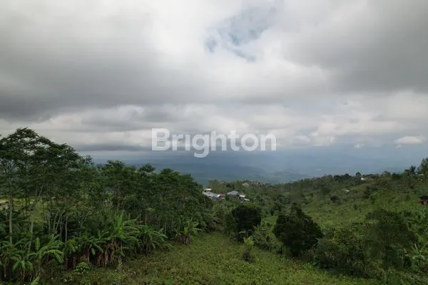 image DIJUAL TANAH DI TAMBLINGAN, SINGARAJA  (6)