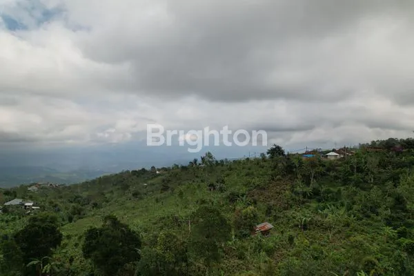 image DIJUAL TANAH DI TAMBLINGAN, SINGARAJA  (7)