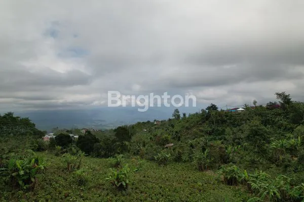 image DIJUAL TANAH DI TAMBLINGAN, SINGARAJA  (3)