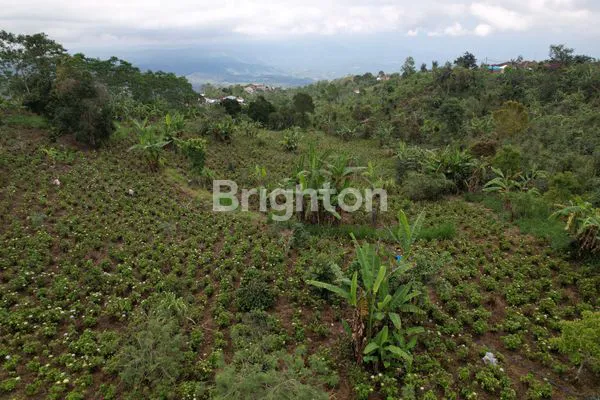 image DIJUAL TANAH DI TAMBLINGAN, SINGARAJA  (4)