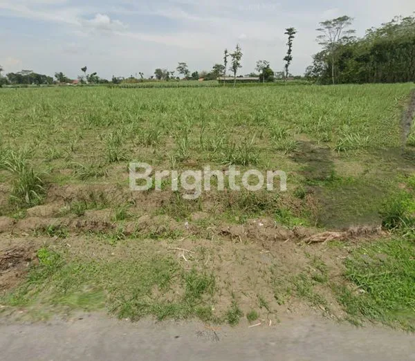 image TANAH PREMIUN UNTUK INVESTASI 1 HEKTAR DI PAGU, KAB KEDIRI (3)