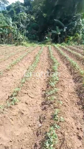 image TANAH SIAP BANGUN 178 M² DI SINGOSARI, 3 MENIT KE JALAN RAYA PROVINSI (4)
