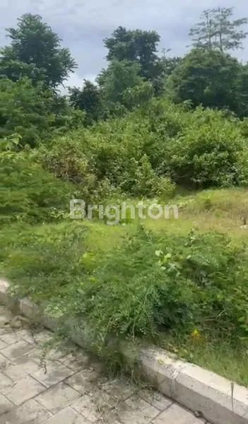 image TANAH KOMERSIAL JUAL (4)