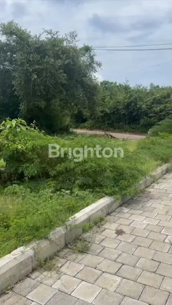 image TANAH KOMERSIAL JUAL (3)