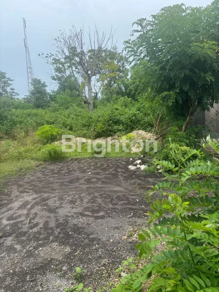 image TANAH 10 ARE STRATEGIST KUTUH ZONA KUNING  (2)