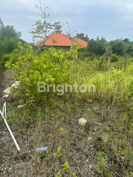 image TANAH 10 ARE STRATEGIST KUTUH ZONA KUNING  (3)