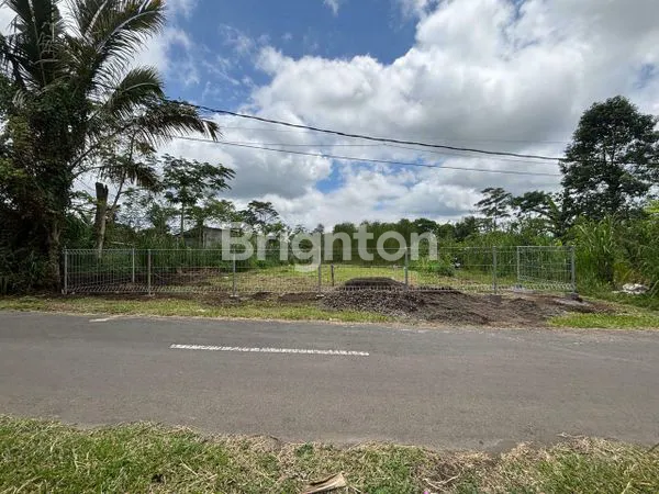 TANAH KAVLING COCOK UTK DI BANGUN VILLA, HOTEL ATAU INVESTASI DI TARO- UBUD,BALI