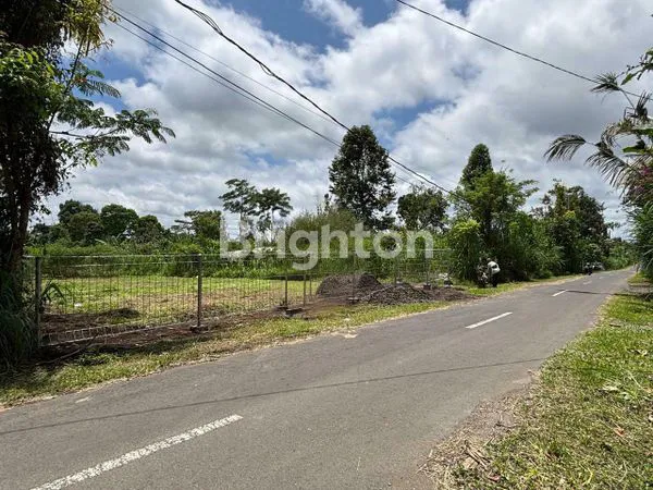 image TANAH KAVLING COCOK UTK DI BANGUN VILLA, HOTEL ATAU INVESTASI DI TARO- UBUD,BALI (2)