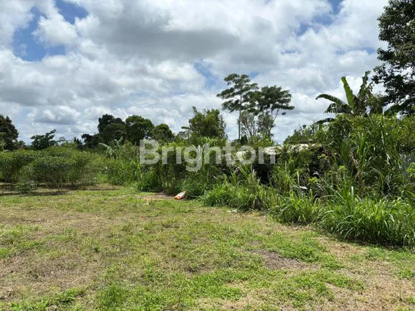 image TANAH KAVLING COCOK UTK DI BANGUN VILLA, HOTEL ATAU INVESTASI DI TARO- UBUD,BALI (4)