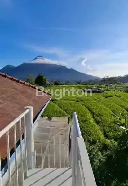 image VILLA TRAWAS 1 ½ LT INDAH MOJOKERTO  (6)