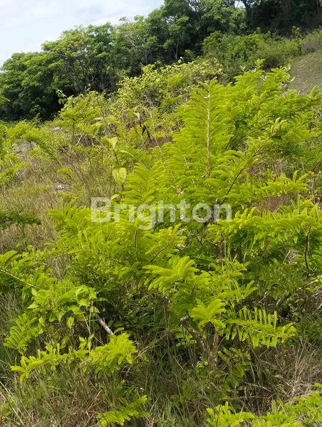 image TANAH VIEW GARUDA WISNU KENCANA (3)