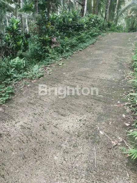 image INVESTASI TANAH 28 ARE DI MEGATI, HARGA PER ARE 60 JUTA (2)