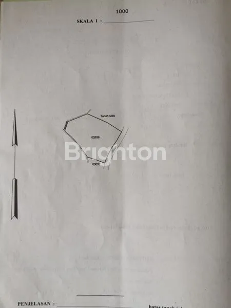 image INVESTASI TANAH 28 ARE DI MEGATI, HARGA PER ARE 60 JUTA (4)