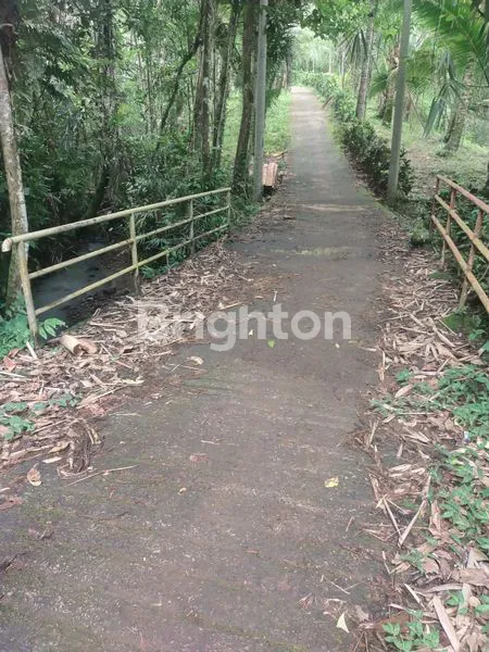 image INVESTASI TANAH 28 ARE DI MEGATI, HARGA PER ARE 60 JUTA (1)