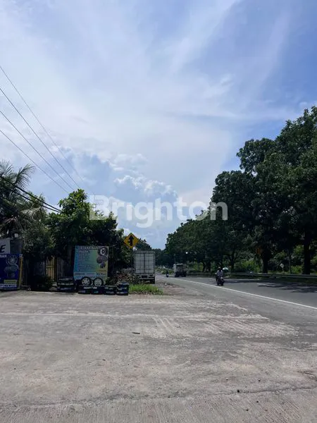 image DIJUAL TANAH STRATEGIS 13 ARE PINGGIR JL. PROF. DR. IDA BAGUS MANTRA – PERING, GIANYAR, BALIW (3)