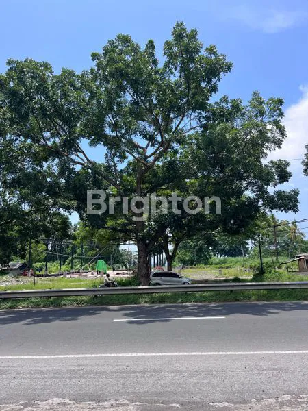 image DIJUAL TANAH STRATEGIS 13 ARE PINGGIR JL. PROF. DR. IDA BAGUS MANTRA – PERING, GIANYAR, BALIW (4)