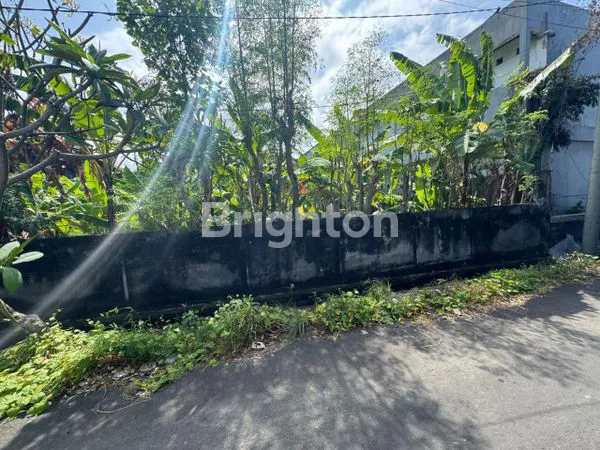 image LAHAN KOSONG (3)