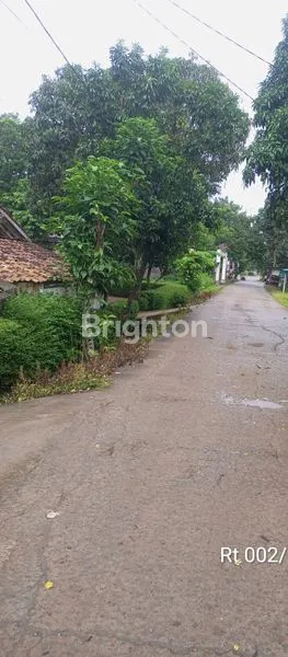 image GUDANG TRANSYOGI CILENGSI (2)