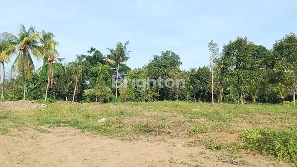 image JUAL TANAH KAVLING BULELENG (2)