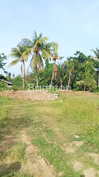 image JUAL TANAH KAVLING BULELENG (1)