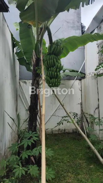 image RUMAH NYAMAN HOOK FURNISHED DI RANCAMAYA, LT 216M² DEKAT TOLL CIAWI (8)