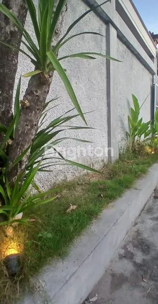 image RUMAH DI LOKASI YANG STRATEGIS DI JIMBARAN (6)
