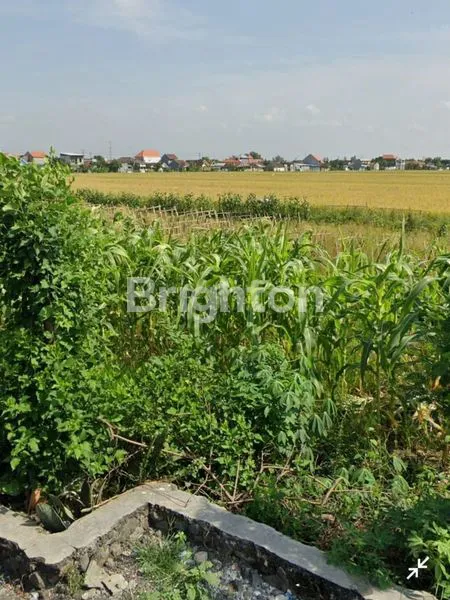 image HUNIAN NYAMAN DI SIDOARJO, DEKAT FASILITAS PUBLIK (8)