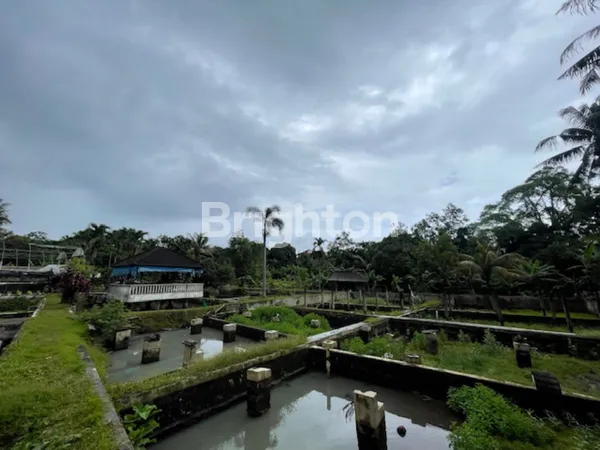 image MURAH !!! STRATEGIS , VALUABLE !!! TANAH PARUNG + BANGUNAN   (2)