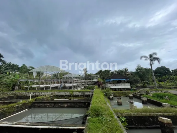 image MURAH !!! STRATEGIS , VALUABLE !!! TANAH PARUNG + BANGUNAN   (4)