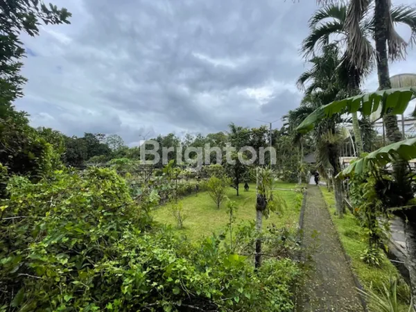 image MURAH !!! STRATEGIS , VALUABLE !!! TANAH PARUNG + BANGUNAN   (5)