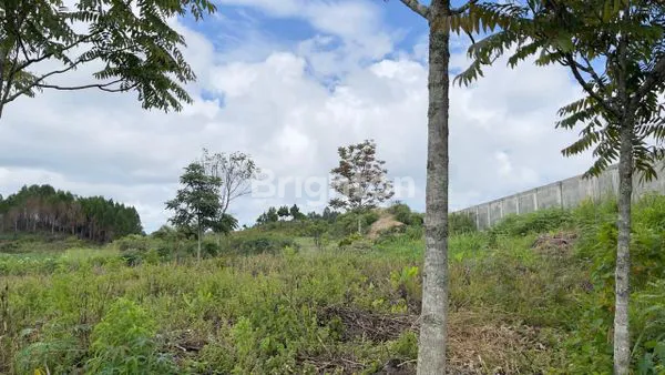 image TANAH DIJUAL  (3)