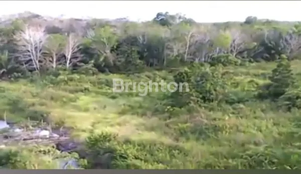 image TANAH SUNGAI KAPUAS KALBAR (2)