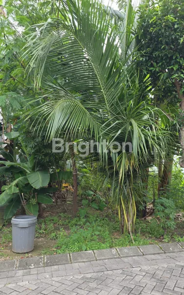 image KAVLING LOKASI STRATEGIS WOODLAND CITRALAND SURABAYA (1)