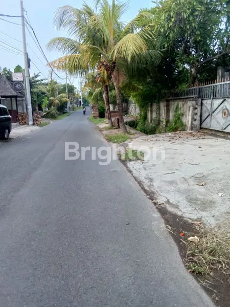 image TANAH LUAS 5.440 M² DI KETEWEL, 500M KE PANTAI GUMICIK (6)