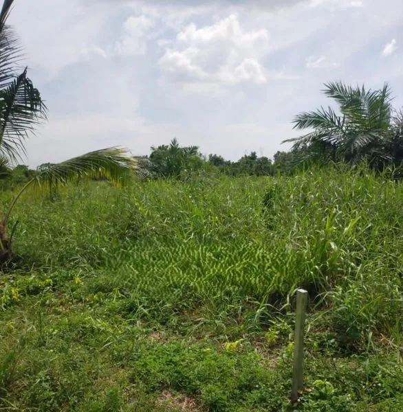 TANAH 3 HA DENGAN LEGALITAS SHM, LOKASI PREMIUM PERUMAHAN