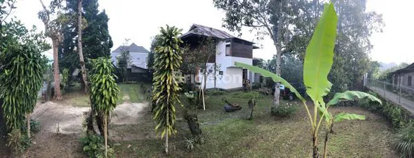 image INVESTASI VILLA STRATEGIS DI BEDUGUL, SHM, 900M² (3)