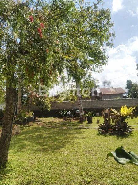 image INVESTASI VILLA STRATEGIS DI BEDUGUL, SHM, 900M² (4)