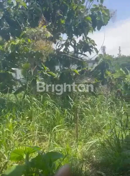 image LAHAN DISEWAKAN 20 ARE PINGHIR JALAN ULUWATU (3)