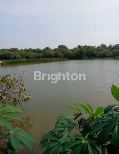 image TANAH COCOK DIBUAT LAHAN PERUMAHAN KRN SEKITAR SUDAH BANYAK PERUMAHAN LOKASI SURABAYA TIMUR DEKAT ACCES TOLL JUANDA DAN UPN DAN POLTEK PELAYARAN (1)