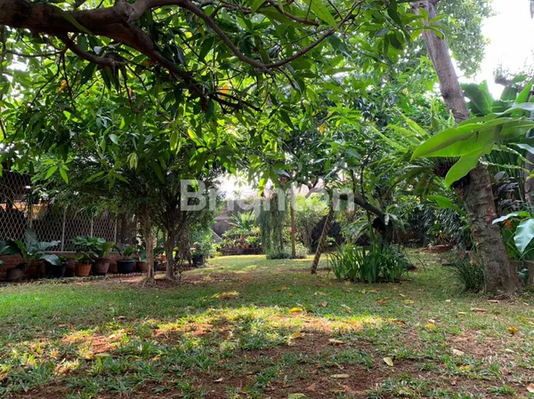 image RUMAH MEWAH ASRI 2 LANTAI DI JAGAKARSA - LUAS TANAH 1780M2, SIAP HUNI & SUPER STRATEGIS! (7)