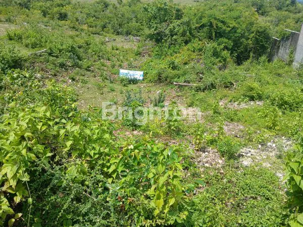 image DIJUAL TANAH 16 ARE DIJALAN GOAGONG JIMBARAN KUTA SELATAN BADUNG BALI (3)