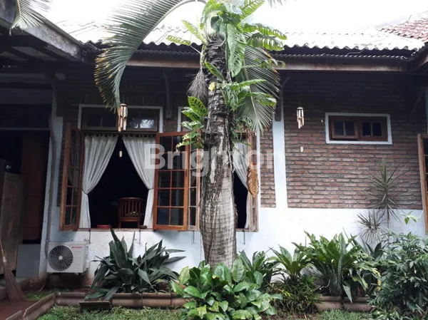 image RUMAH JOGLO JEPARA ANTIK KAWASAN PONDOK CABE, DIBANGUN DENGAN KAYU JATI BERKUALITAS & UKIRAN GEBYOK MEWAH! (5)