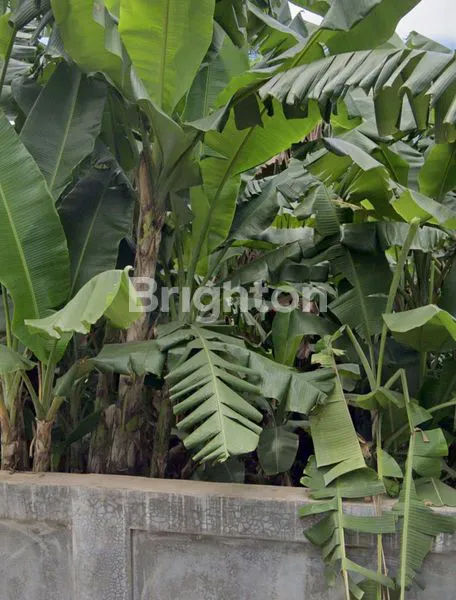 image TANAH BEKASI (2)