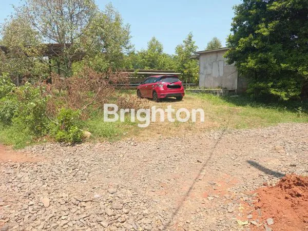 image KEBUN DURIAN BATANG (4)