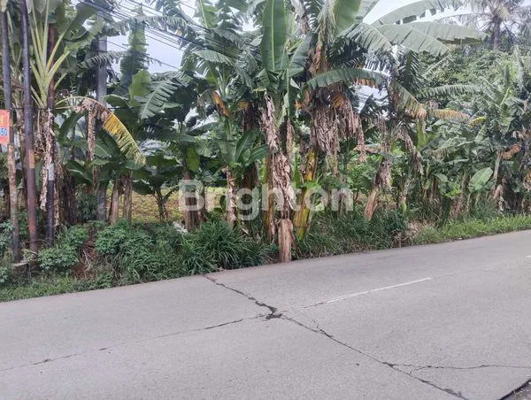 image TANAH LUAS 1.200 M² DI CIKUNIR, LOKASI STRATEGIS (4)