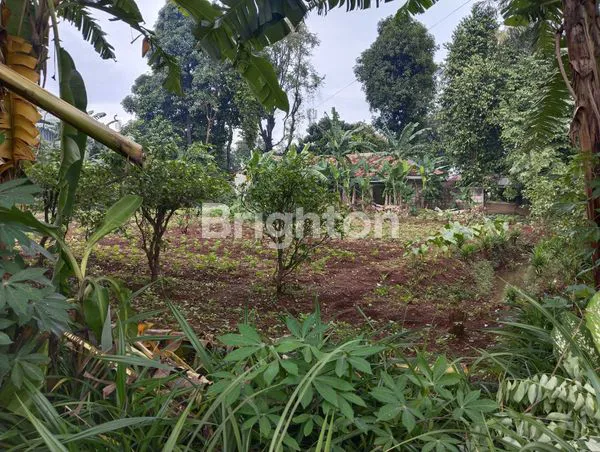 image TANAH LUAS 1.200 M² DI CIKUNIR, LOKASI STRATEGIS (3)