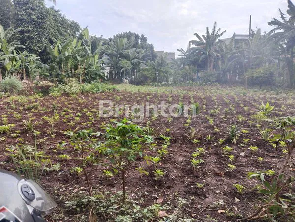 image TANAH LUAS 1.200 M² DI CIKUNIR, LOKASI STRATEGIS (1)