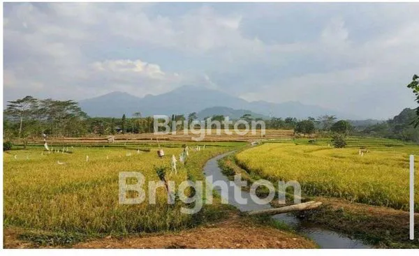 image DIJUAL TANAH  (1)