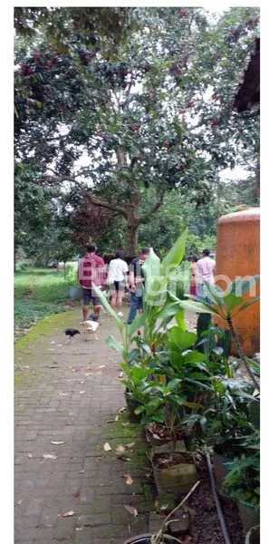 image DIJUAL TANAH  (2)